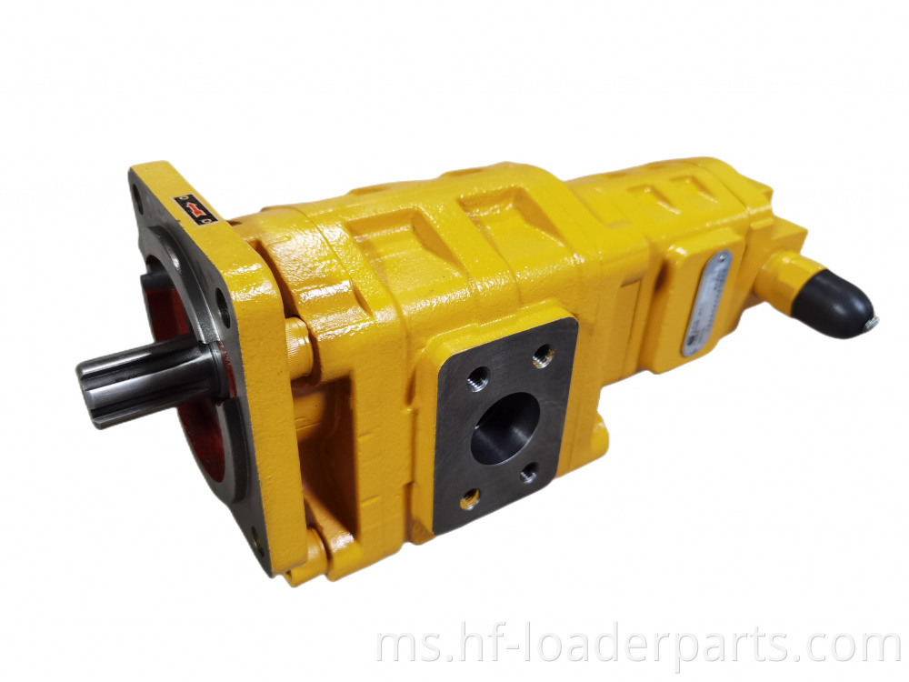Double hydraulic gear pump for Lonking